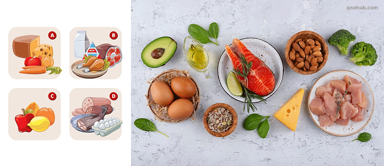 top-10-protein-foods
