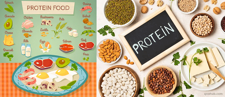 what-is-high-protein-foods