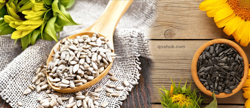 sunflower-seeds-benefits-for-female